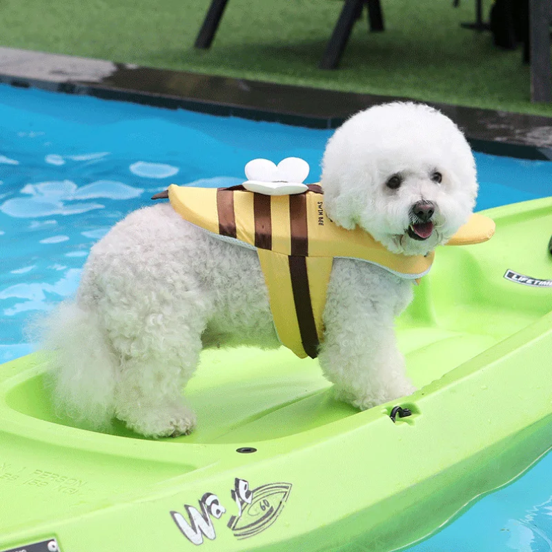 Traje de baño de verano para p - Life Jacket reseña y precio