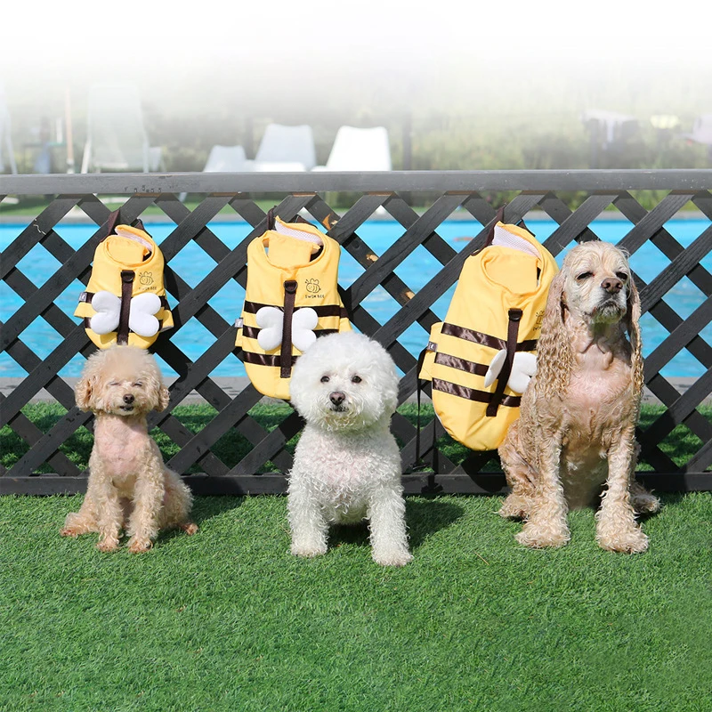 Traje de baño de verano para p - Life Jacket reseña y precio