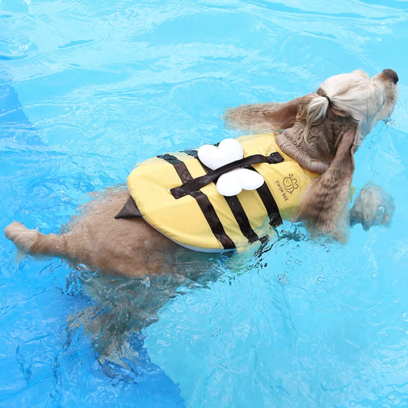 Traje de baño de verano para p - Life Jacket reseña y precio