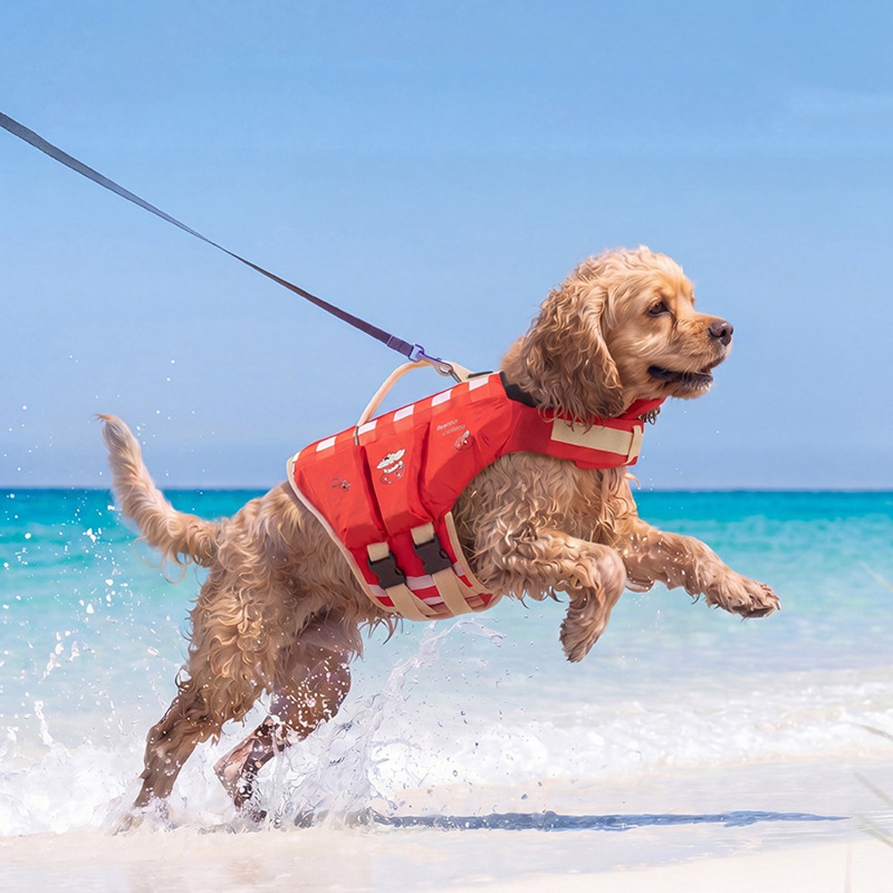 Chaleco Salvavidas Impermeable - Life Jacket reseña y precio
