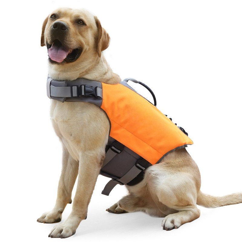 Chaleco Salvavidas para Perros - Life Jacket reseña y precio
