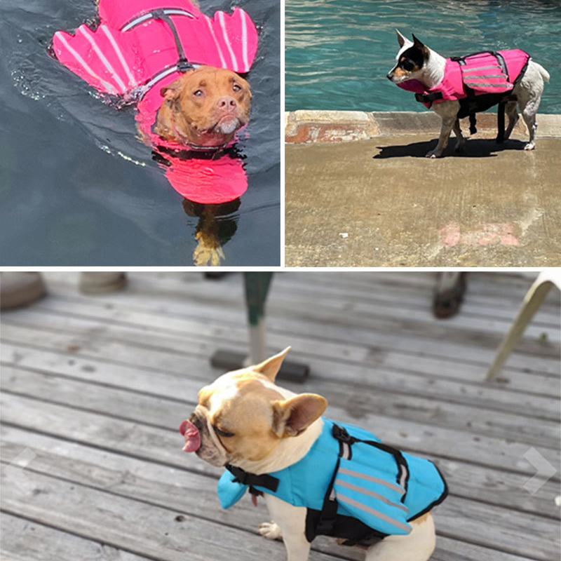 Chaleco salvavidas para perros - Life Jacket reseña y precio